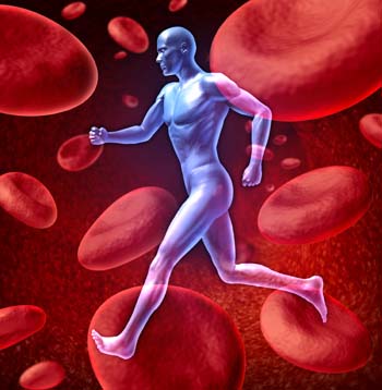 Някои изследвания показват, че диосминът има многобройни благоприятни ефекти върху кръвоносните съдове и кръвообращението